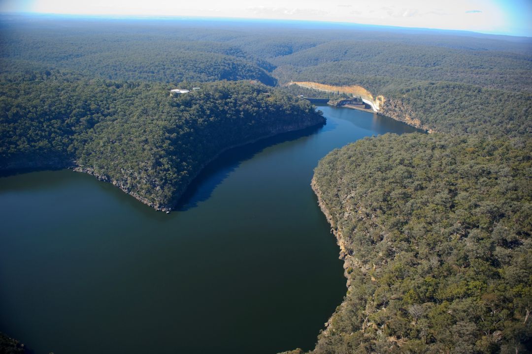 dam surrounded by trees