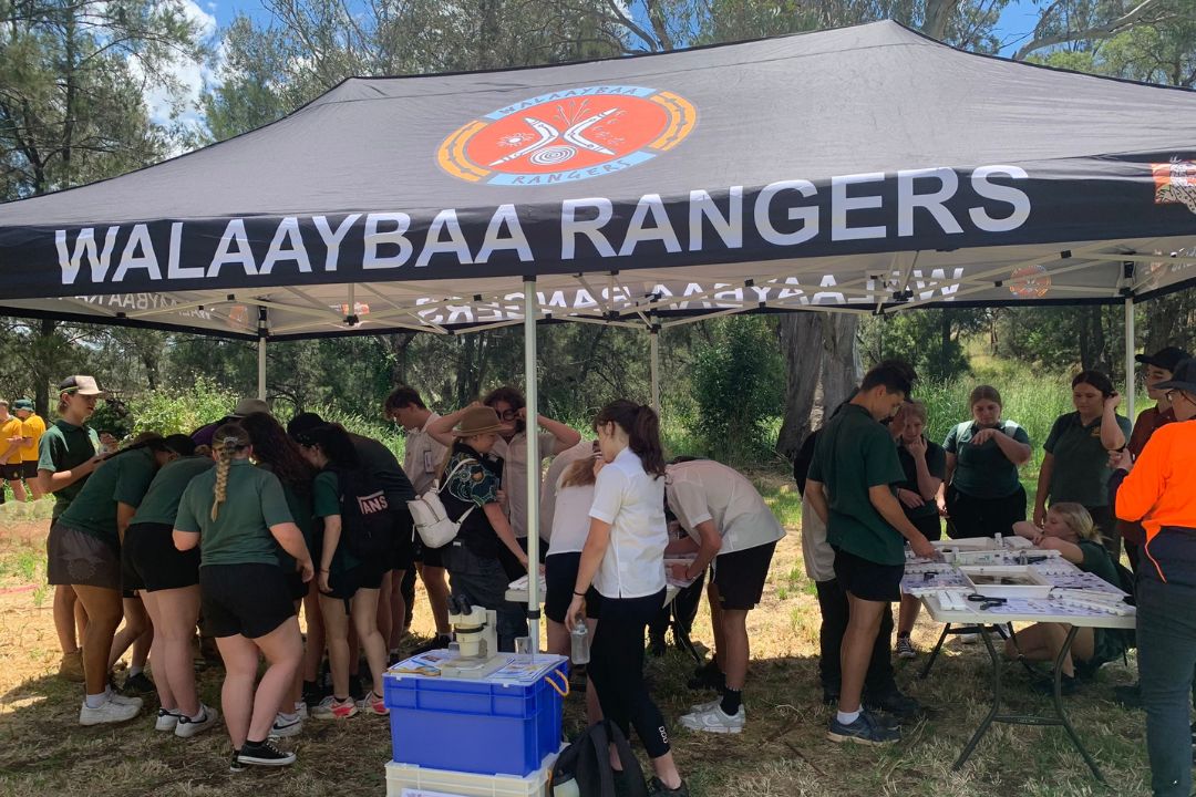 Student activity under a marquee